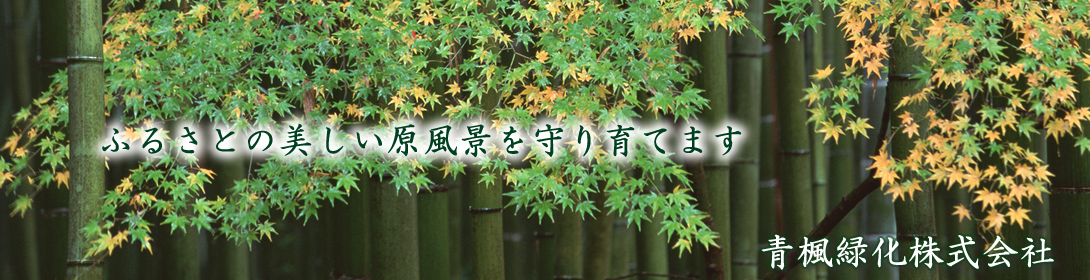青楓緑化株式会社